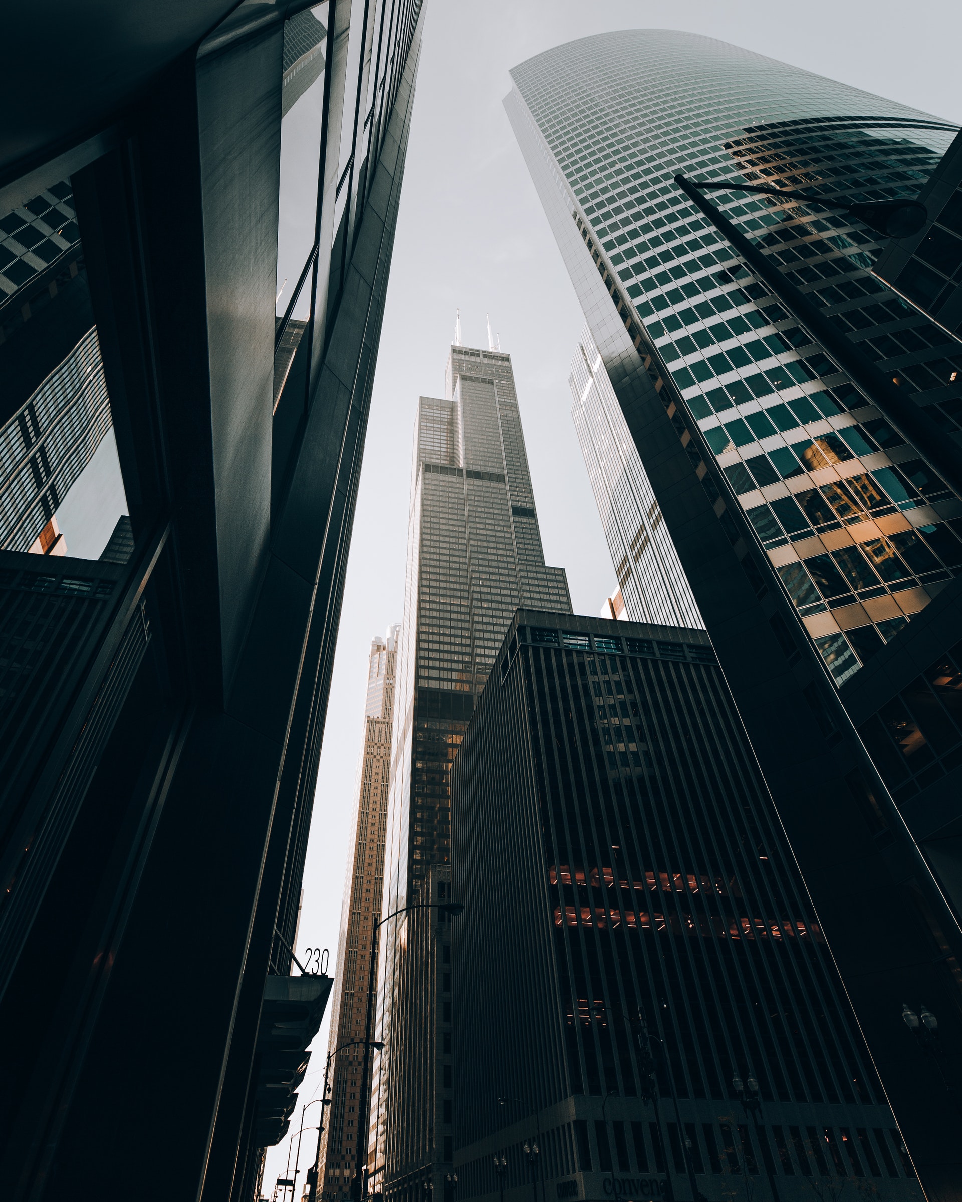 Startup growth strategy