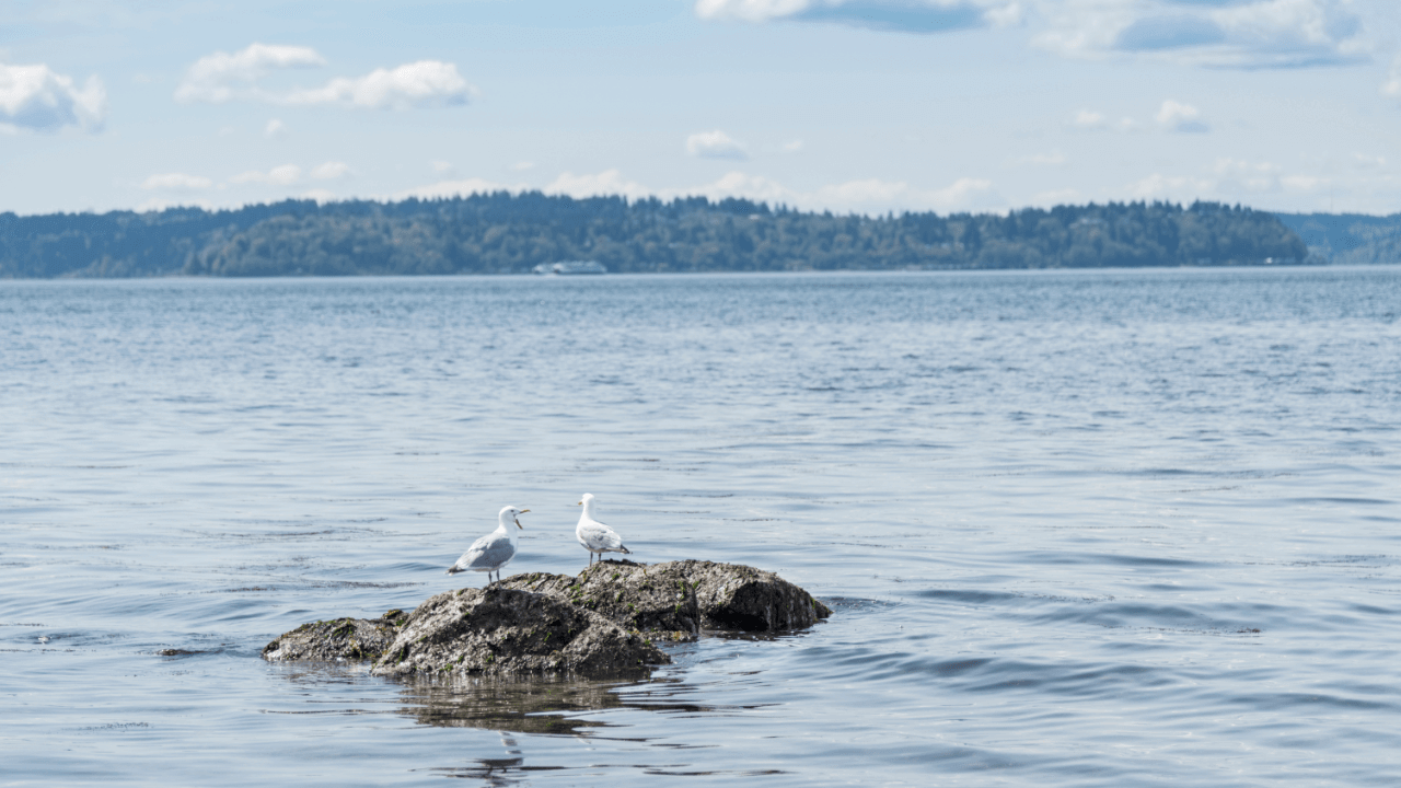 Sea level rise due to climate change