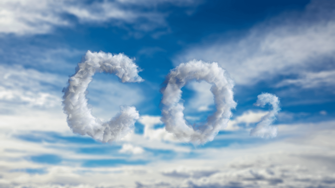The primary effects of carbon emissions