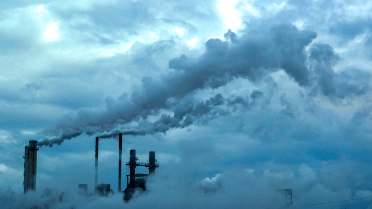 Transformation für Kohlenstoffemissionen in Unternehmen