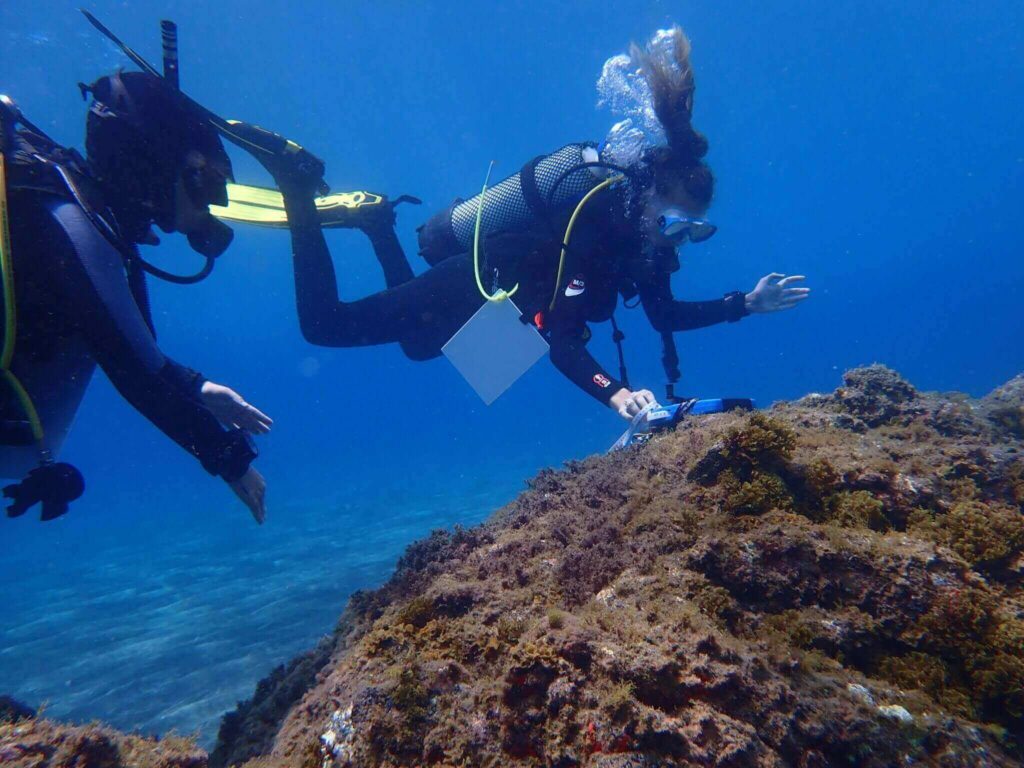 Role technology in coral reef reforestation