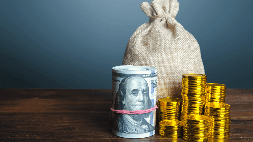 Private pension system vs. government pension