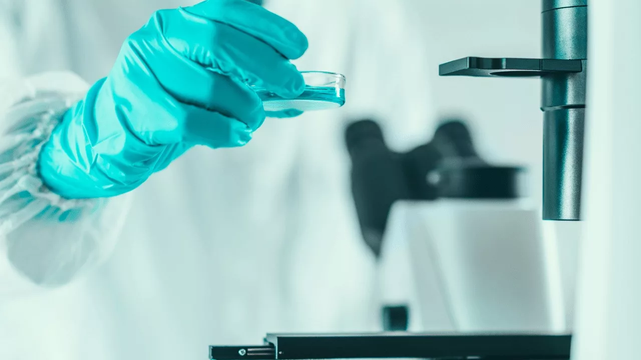 biotechnology and fundamental developments