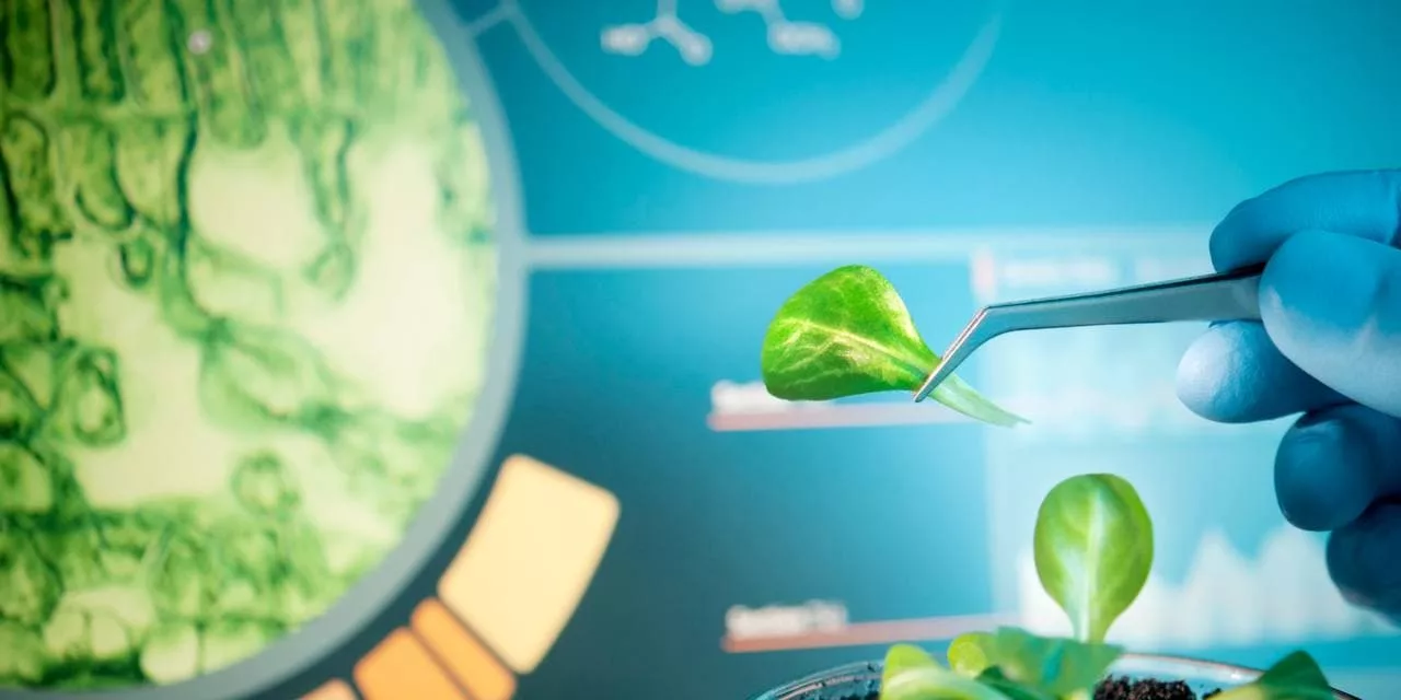 Biotechnology