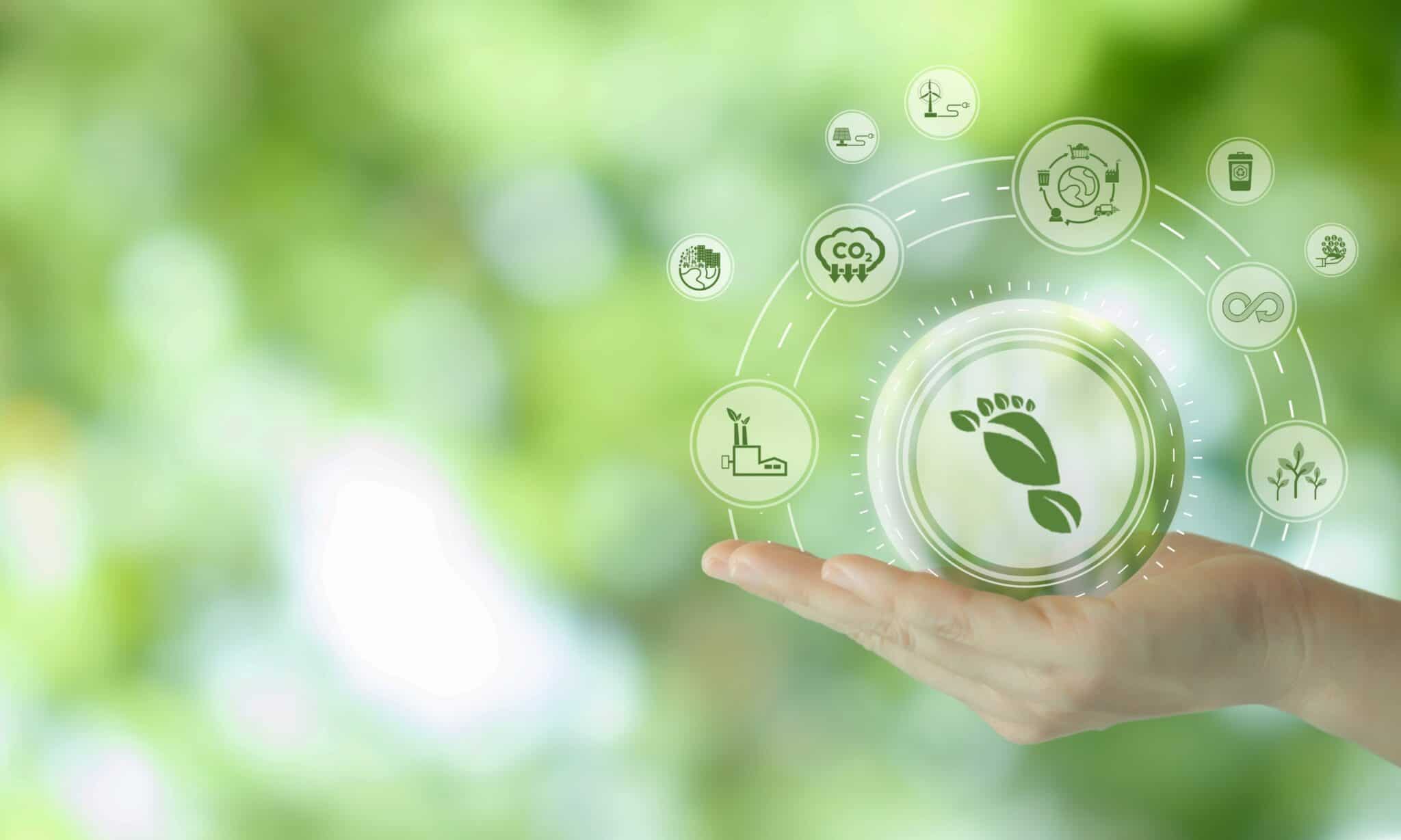 Green Investment Strategies