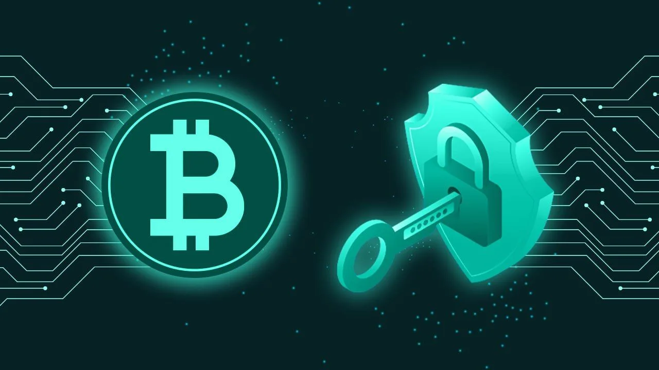 bitcoin ve güvenlik