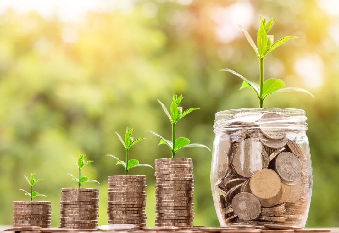 investment paortfolio