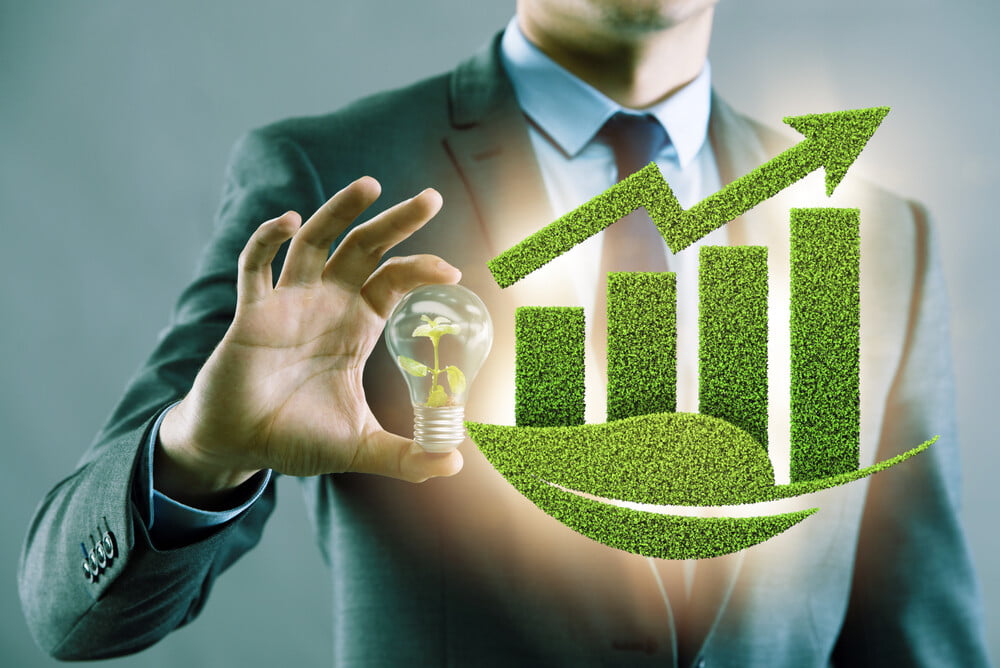 Investing in renewable energy stocks