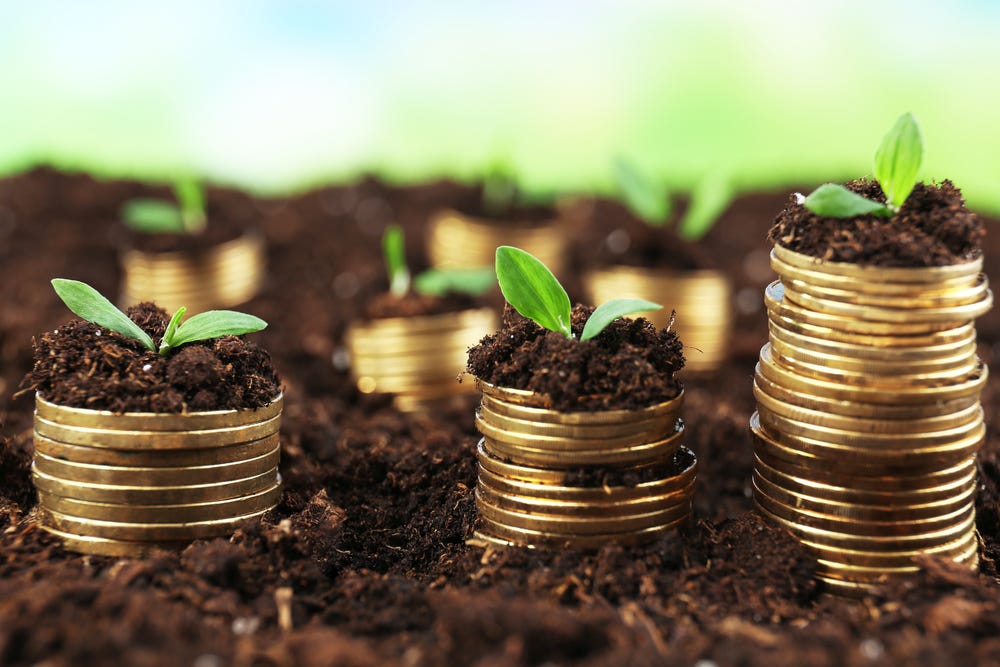ethical investments