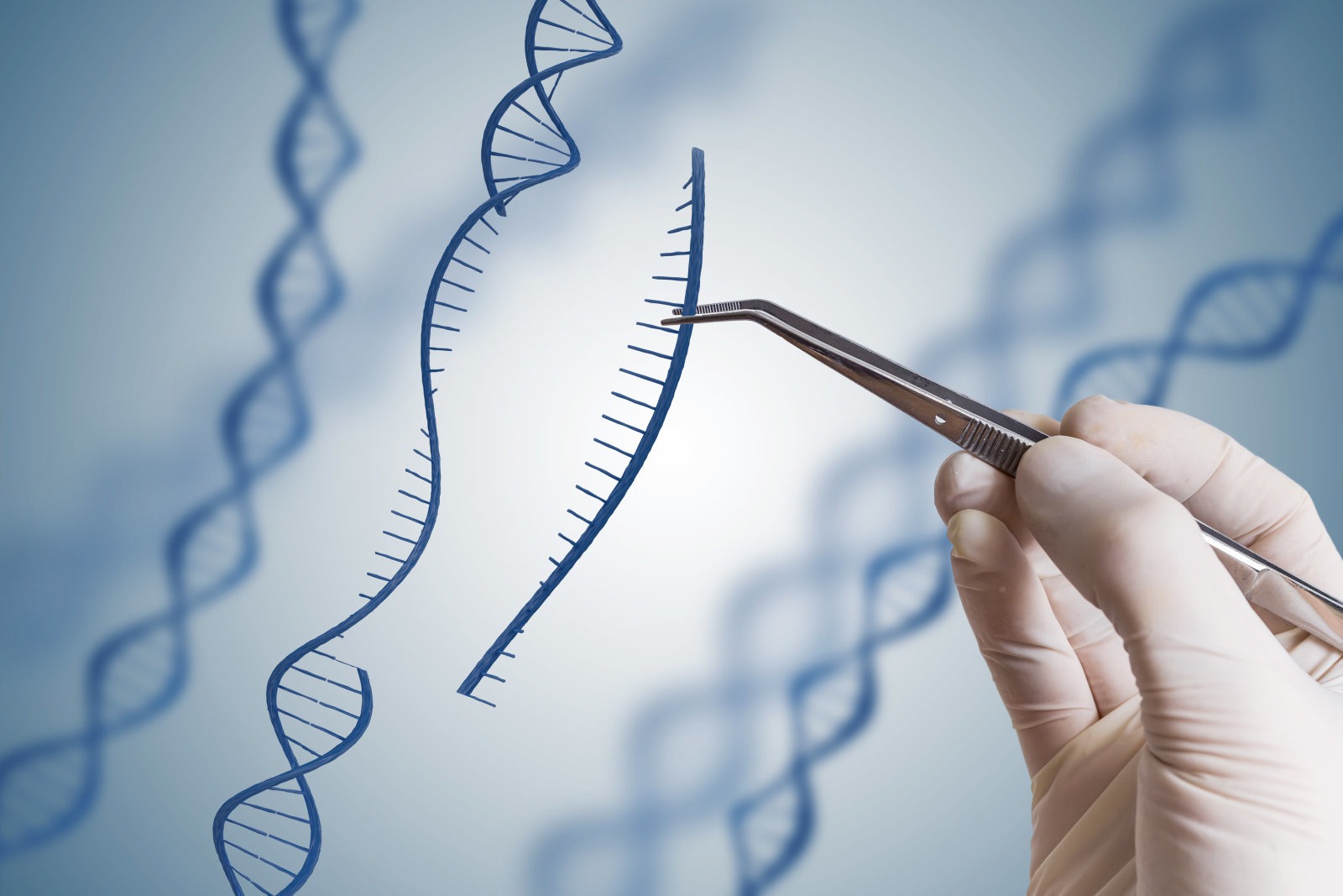 The Future Of Biotech And The Gene Therapy For Investors 3 genetic therapies for investors