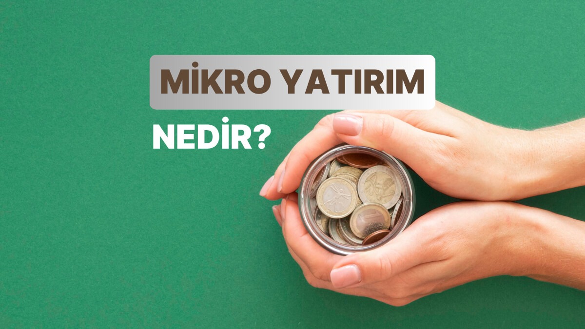 Mikro yatırım
